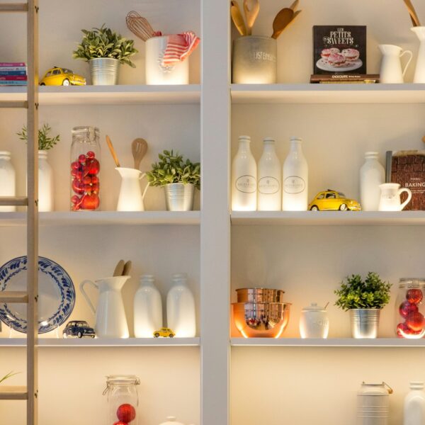 Organization